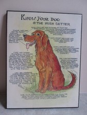 Vintage irish setter for sale  DAVENTRY