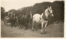 horse wagon for sale  SUTTON COLDFIELD