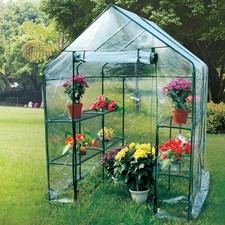 2nds walk greenhouse for sale  CREDITON