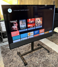 Bang lufsen beovision gebraucht kaufen  Kandern