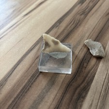 Neolithikum pfeilspitze schabe gebraucht kaufen  Döbeln