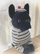 French bulldog french for sale  Marietta
