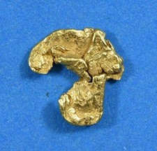 Alaskan yukon gold for sale  Oroville