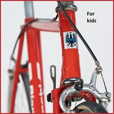 Bianchi sprint alette usato  Barletta