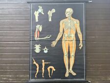 Vintage spine joints for sale  SCARBOROUGH