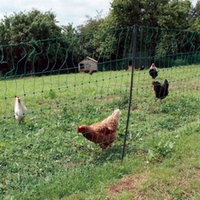 Electric poultry netting for sale  HERTFORD