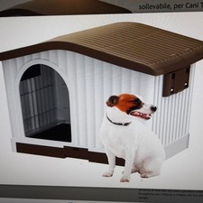 Cuccia aqpet per usato  Fiumicino