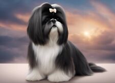 Usado, Shih Tzu Auto Aufkleber Hunde Sticker comprar usado  Enviando para Brazil