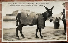 Guernsey postcard. joey for sale  ALRESFORD