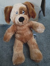teddy bear puppies for sale  ROTHERHAM