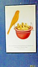 Canaries nest rear for sale  BATH