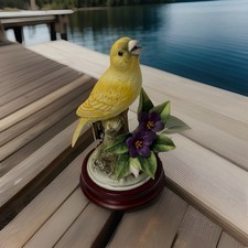 Beautiful yellow canary for sale  Cleveland