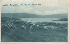 Cs456 cartolina ronciglione usato  Tramonti