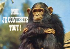 Carte postale animaux d'occasion  Toulon-