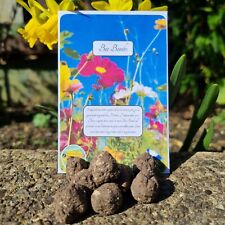 Handmade bee bombs for sale  CORBY