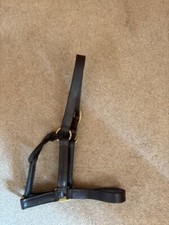 Dark brown cob for sale  CHIPPING NORTON
