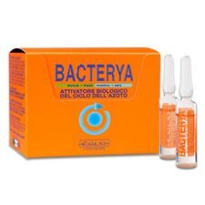 Equo bacterya batteri usato  Macerata