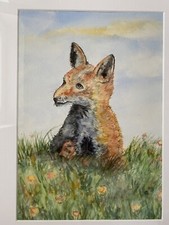 Aquarell bild gemälde gebraucht kaufen  Hofheim