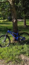 Dartmoore blue bird gebraucht kaufen  Chemnitz