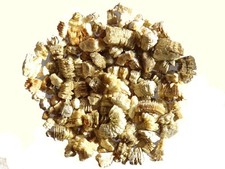 Vermiculite sem06 d'occasion  Puy-Guillaume