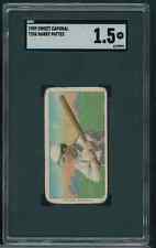 T206 harry pattee for sale  San Jose