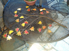 Autumn metal maple for sale  East Meadow