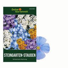 Steingarten stauden winterhart gebraucht kaufen  Pulheim