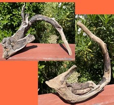 Driftwood natural freshwater for sale  Granite Bay