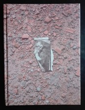 Luigi ghirri the usato  Roma