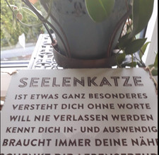 Blechschild thema katze22cmbre gebraucht kaufen  Rothenburg