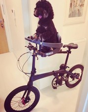 Buddy rider dog for sale Buddy rider dog for sale  MITCHAM