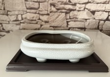 Medium ceramic bonsai for sale  CANTERBURY