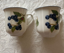 Villeroy boch cottage gebraucht kaufen Villeroy boch cottage gebraucht kaufen  Jena