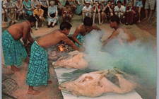 Postcard hawaii luau for sale  Mill Spring