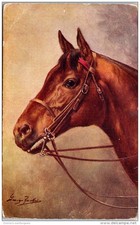 Themes horses horse d'occasion  Expédié en Belgium