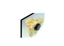 Tunze coral rock for sale  WHITBY