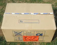 Polystyrene box cardboard for sale  IPSWICH