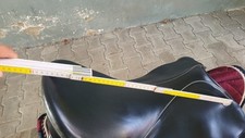 prestige vielseitigkeitssattel gebraucht kaufen prestige vielseitigkeitssattel gebraucht kaufen Philippsburg