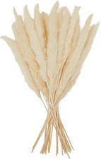 Pack dried white for sale  Miami