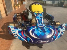 Kart 125 tm usato  Monte San Giovanni Campano