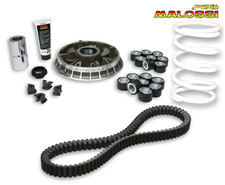 Pack racing malossi d'occasion Pack racing malossi d'occasion  Saint-Dizier