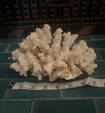 Natural dry pacific for sale  Clinton