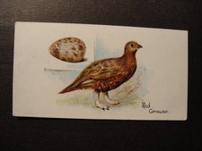 game bird eggs for sale  GRIMSBY