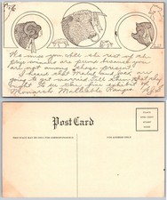 Cartão postal monarca faixas maleáveis comprar usado Cartão postal monarca faixas maleáveis comprar usado  Enviando para Brazil