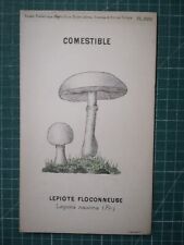 Yv081 mycologie dessin d'occasion  Angers-