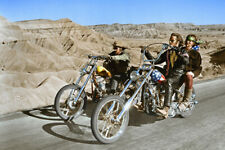 Easy rider peter for sale  San Clemente