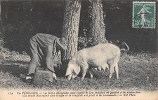 Old postcard perigord d'occasion  Expédié en Belgium