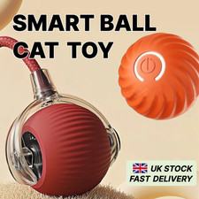 2xcat kitten smart for sale  WATFORD