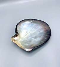Grand coquillage nacré d'occasion  Arles