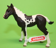 schleich pinto gebraucht kaufen schleich pinto gebraucht kaufen Haigerloch